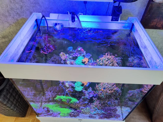 Meerwasseraquarium 120L OHNE INHALT LED Abschäumer Filter