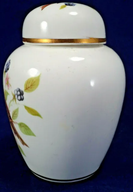 Miniatur Porzellan Urne & Deckel Gelbhammer Vögel Brombeeren 'Woodland China Derby' 8