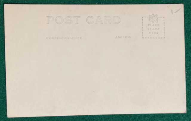 Tulip Fields Holland Michigan Dutch Girls Real Photo Postcard RPPC MI 1930's 2