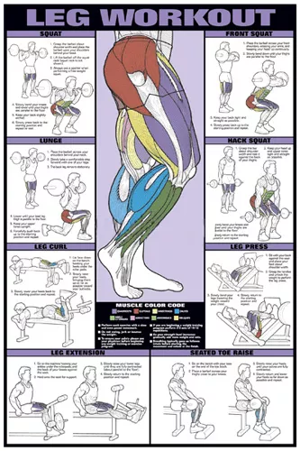 AFFICHE MURALE D'ENTRAÎNEMENT DES JAMBES entraînement physique professionnel gymnase 24x36