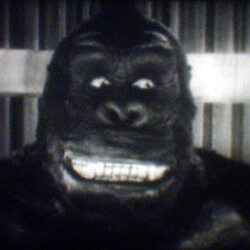Film Super 8: King Kong à New York