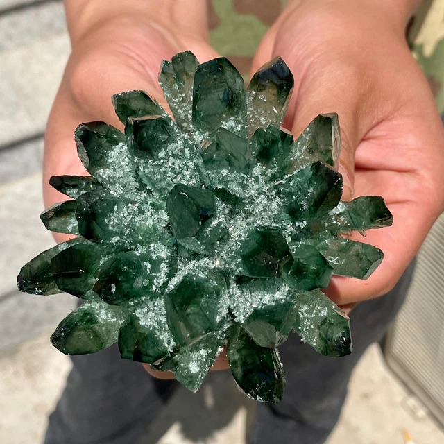 464G New Find Green Phantom Quartz Crystal Cluster Mineral Specimen Healing-AG