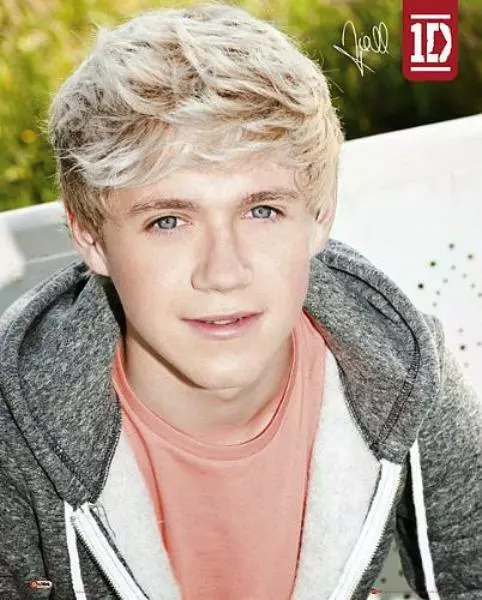 One Direction : Niall - Mini Poster 40cm x 50cm new and sealed