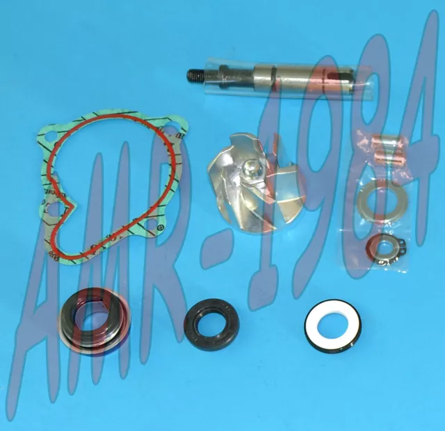 Set Révision Pompe à Eau H2O Kymco Downtown People 300 AA00833