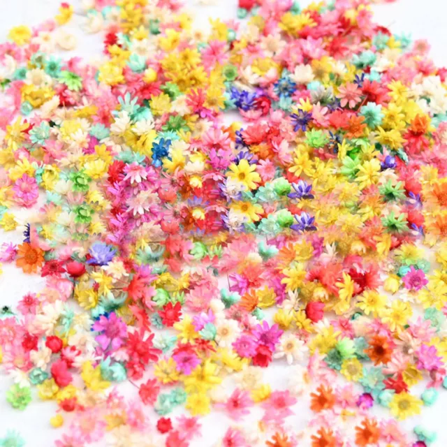 1g Natural Dried Flower Heads for Resin Epoxy Candle Making Nail Art DIY Craft