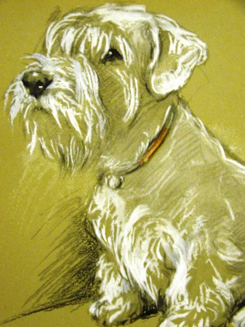 Lucy Dawson - Sweet SEALYHAM TERRIER "Bundle" 1946 Vintage Dog Print Matted