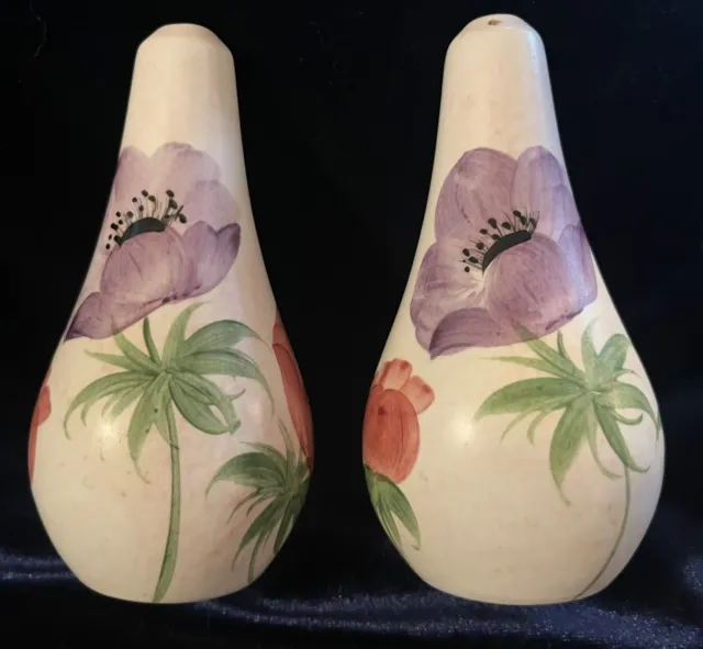 Vintage Hand Painted Edward Radford Floral Salt & Pepper Shakers VGC with Corks