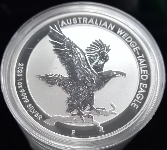 2023 WEDGE TAILED Eagle £40.70 PicClick UK