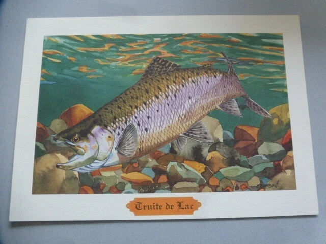 Vieux Leurre Publicitaire Creek Chub - Style Art Populaire, Signé - Vintage USA