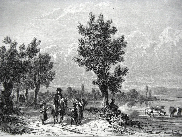 GRAVURE ANCIENNE 19e - LE LAC DE CONSTANCE - ALLEMAGNE
