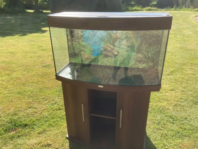 Aquarium Fish Tank and Cabinet