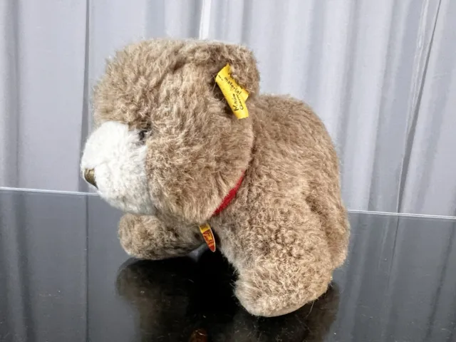 Steiff Tier Teddy Bär 11 x 14 cm. Top Zustand