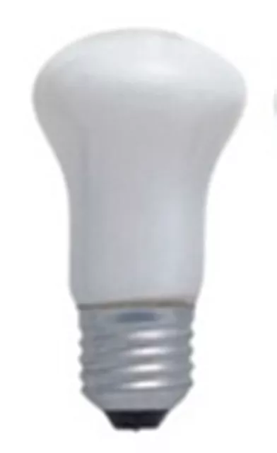 Enlarger lamp ES 75Watt 240v white Mushroom shape ( 10 Pack)