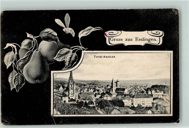 13268148 - 7300 Esslingen Birnen Passepartout