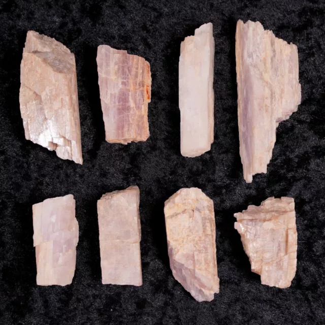 8 Pink Kunzite Crystals 2"-3" Rough Raw Natural Healing Gemstones Lot