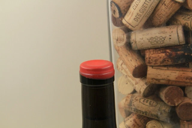 - Arbois Pupillin    Ploussard  Cote De Feule   "2018 "  Julien Mareschal 4