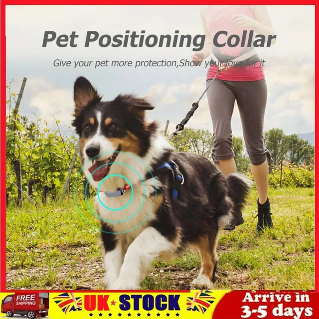 IP67 Waterproof GPS Tracker Anti-lost Smart Locator Location Collar Pet Supplies
