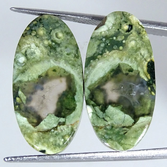 19.80Cts Natürlich Regenwald Jaspis Paar Rhyolite Oval Cabochon Lose Edelsteine