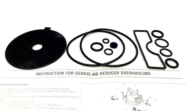 BRC Genius Max Verdampfer Reparatursatz - Original Ersatzteil - Lpgpa