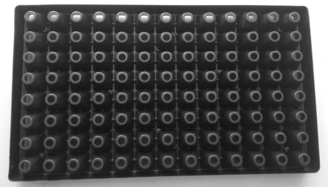 Nutley's 104-cell Modiform Plug Plant Seed Trays with Drainage Holes (Pack of 2) 3