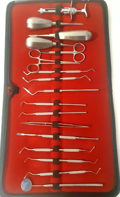 Dental Set 17teiliges grundlegendes medizinisches  Profi chirurgisches werkzeug