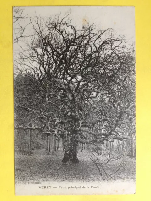 cpa FRANCE 51 - VERZY Marne FAUX Principal de la FORÊT ARBRE TREE