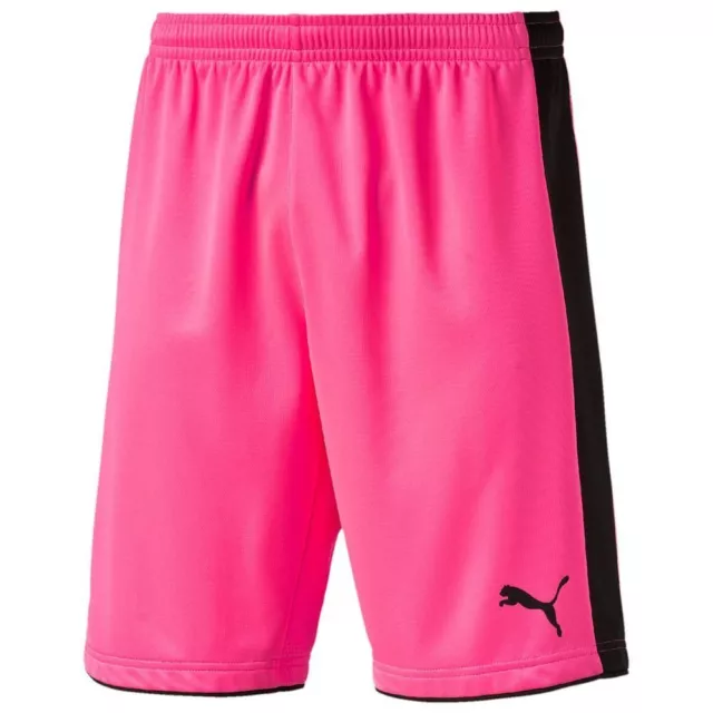 PUMA Tournament GK Torwart Shorts TW fluo pink Erwachsene 702196-51