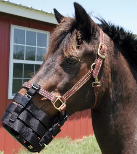 Anti Grazing Muzzle horse