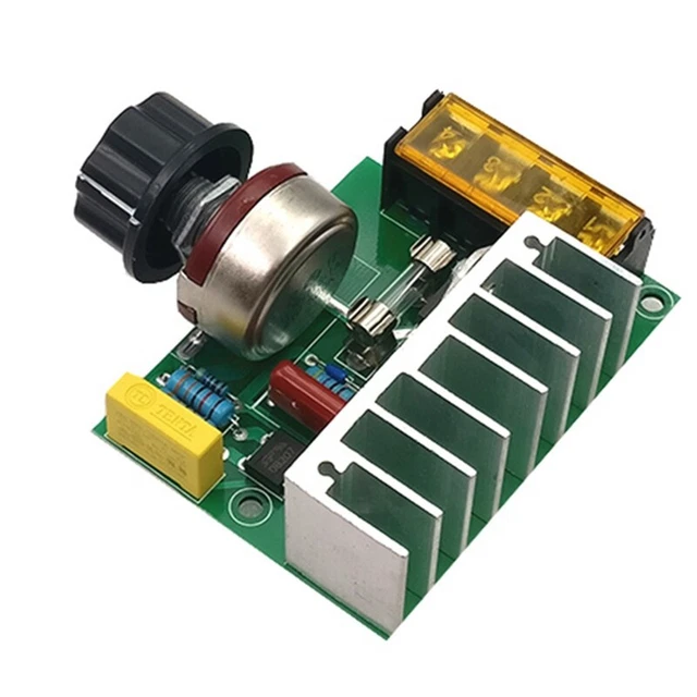 Regolatore di tensione elettrico 4000 W AC 220 V SCR regolatore di velocità motore dimmer W2S1
