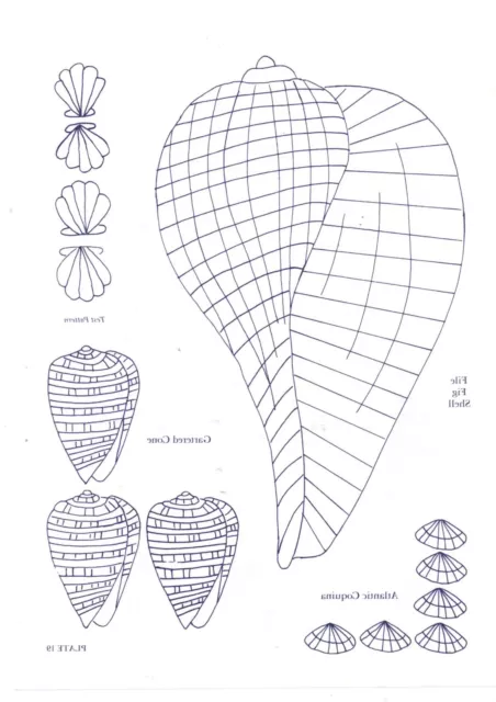 Muscheln Aufbügeln Sticktransfers Nr. 19