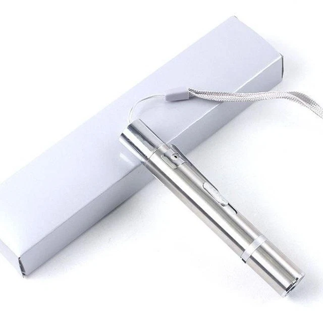 Pet Cat Kitten Toy  Pointer Chaser Toys USB Rechargeable LED Light Pen