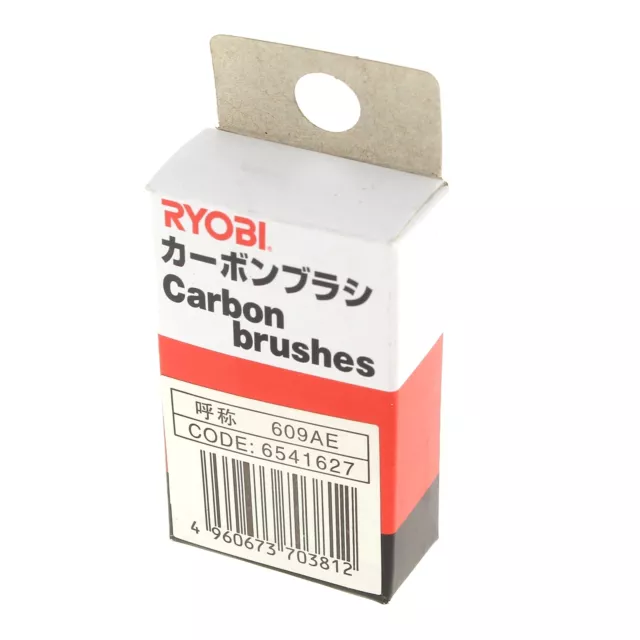 Charbons 6,4x13,4x17 (par 2) pour Perforateur Ryobi