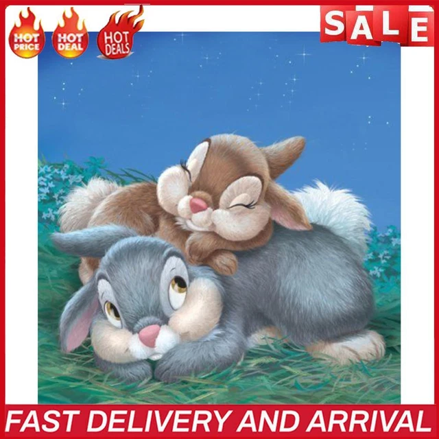 5D DIY Diamond Arts Kits Two Rabbits Diamond Mosaic Colorful for Home Wall Decor