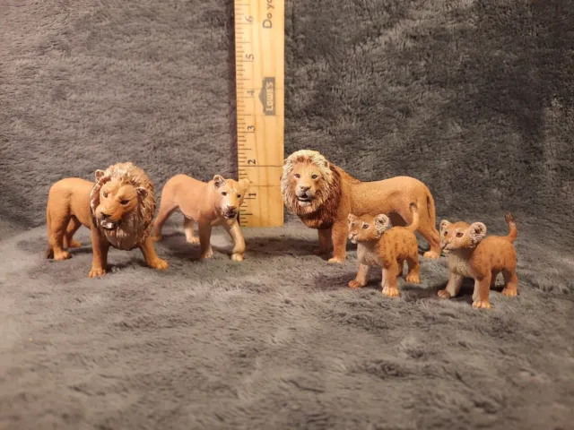 Schleich LION PRIDE FAMILY Lioness 2 Male 2 Cubs Animal 5 Figures RARE