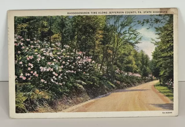 Vintage Postcard Rhododendron Time Jefferson Co., PA State Highways Posted 1939