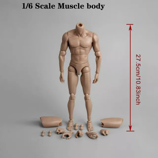  1/12 Scale Male Body,6inch Male Flexible Action Figure Body  Suit Body with Replaceable Hands Type Collection (Gray 1.0) : Toys & Games