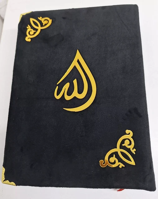 Quran with English Translation