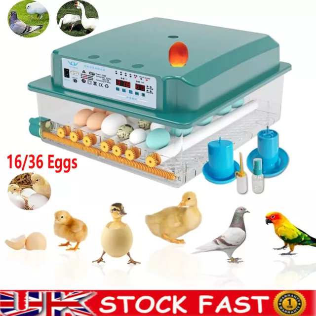 16/36 Eggs Digital Incubator Hatcher Temperature Control Fully Automatic Turning