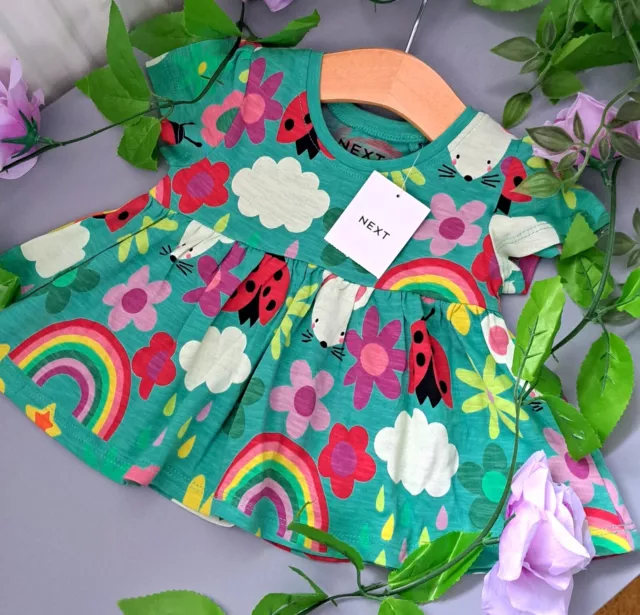 Baby Girl 3-6 Months BNWT NEXT Supersoft Tunic Dress