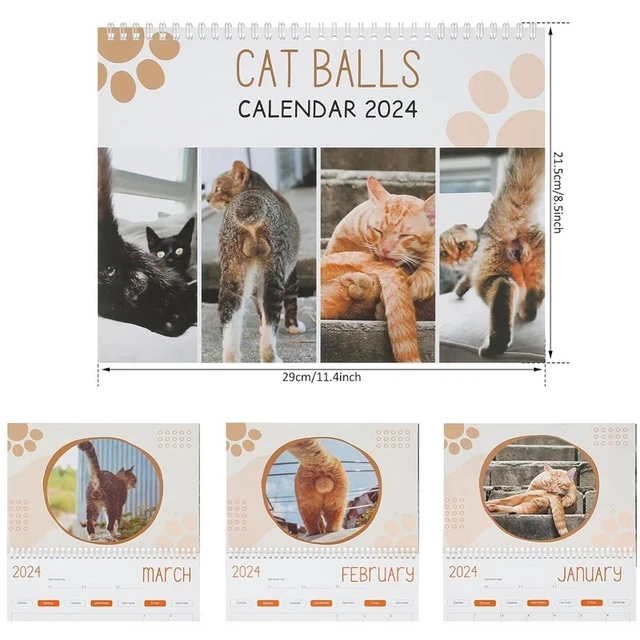 2024 CATS BUTTHOLES Calendar 2024 Funny Cat Balls Calendar Wall