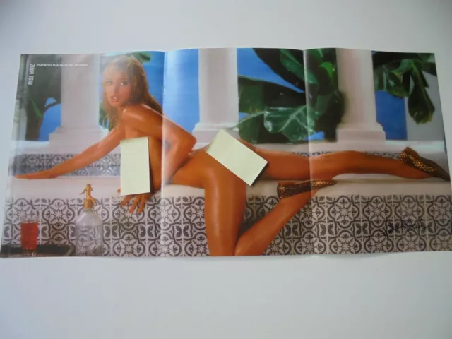 Poster - Martina Patzal - Deutscher Playboy - Playmate Miss März 1982
