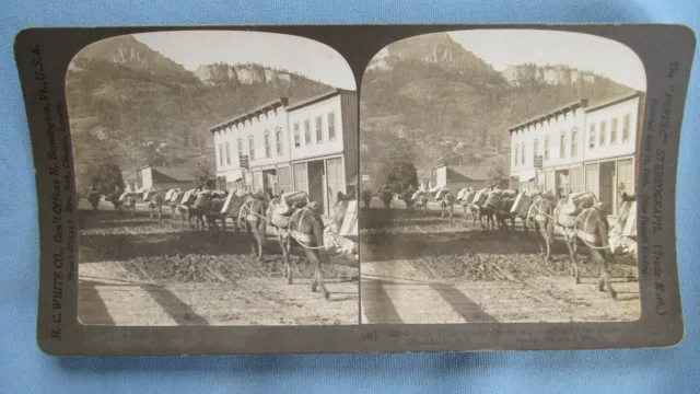 1890's Ouray Colorado Mine Supplies Burro Pack Train Stereoview Photograph