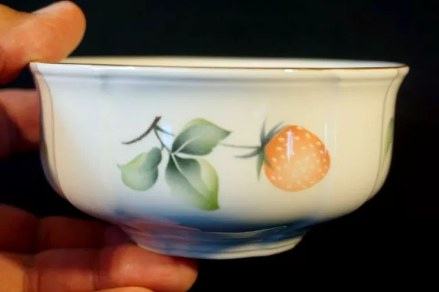 Beautiful Villeroy Boch Frutta Coupe Cereal Bowl