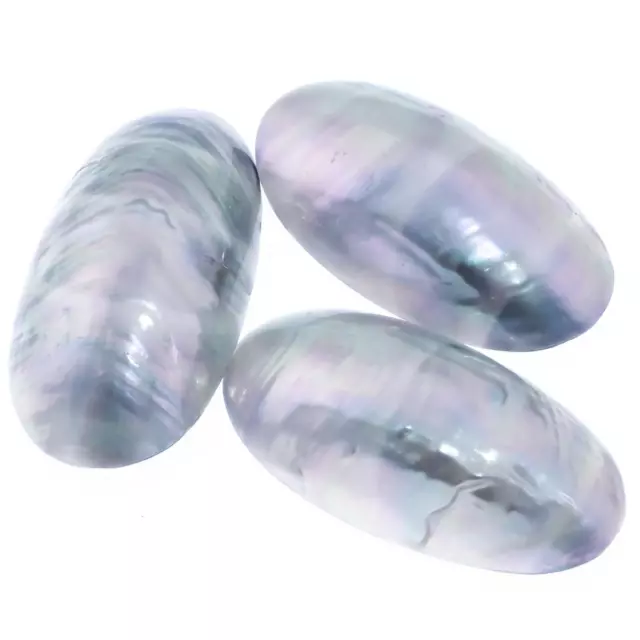 Genuine Nautilus Shell Aka Osmena Pearl Focal Bead Cab Cabochon, 1 1/2"