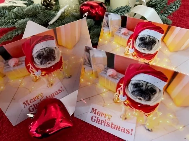 3 x Mops Weihnachtsklappkarte "Merry Christmas", Pug Christmas, mit Kuverts NEU!