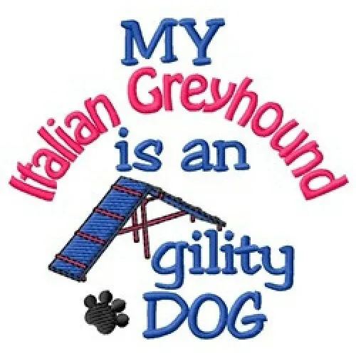 My Italian Greyhound is An Agility Dog Ladies T-Shirt - DC2006L Size S - XXL