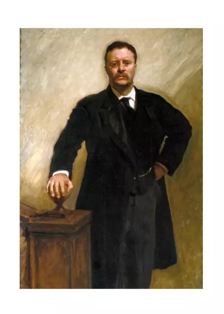 President Theodore Roosevelt 8x10 Presidential Portrait Teddy TR Rough Rider 2
