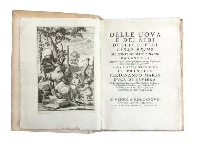 ZINANNI, Uova e nidi d'uccelli, 1737 - Ornitologia - ORNITHOLOGY - Gastronomia