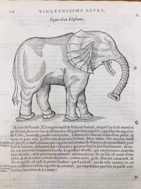 Éléphant 1614 Docteur Louis Paradis Licorne Temple de Strasbourg La Mecque Islam