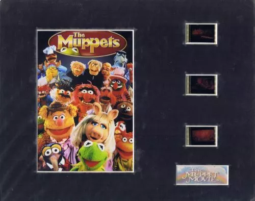 The Muppet Movie (1979) Authentic 35mm Movie Film Cell 8x10 Matted Display